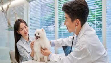 Veterinary Practices