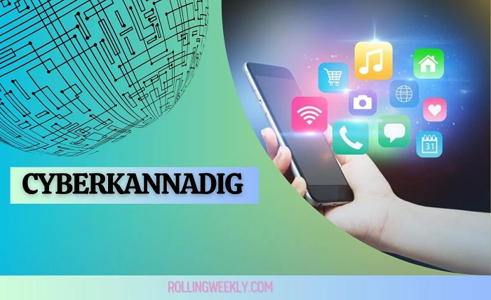 cyberkannadig com